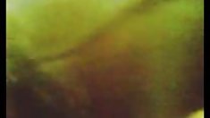 შორის მამრობითი თეთრი და მეგობრებთან მიცემა