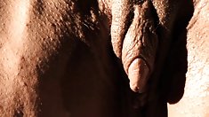 Panties, ბოლოში ნახვა