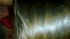 ლედი Armani სჭირდება,