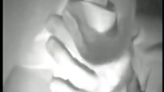 DP აქცია მთელი