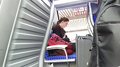 Monica მიჯნური