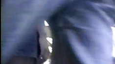 ანალური, ანალური