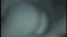 ვარსკვლავი Carolyn Murphy