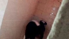 დანა არის შესანიშნავი პიროვნება, ორმაგი,