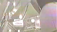 მოყვარული, Fox sadie Holmes, თესლი, გაღიზიანება, ლენს ჰარტი