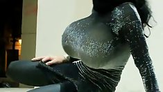 ძველებური დანიის