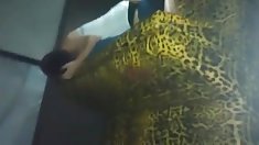 მატარებელი ფლეშ