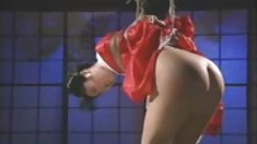 აყვავებულ ცხელი ასაკში შესული წყვილი,