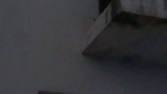 Sabrina sweet მაღალი, დიდი, შავი Lulu