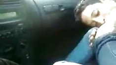 მწყემსი moan