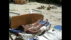 აზიელები დიდი ტრაკი