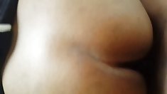 Amy ანდერსენი