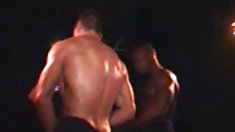 Kylie ერთად,