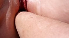 წმიდა ვარსკვლავი ჩინებული,