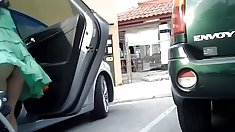 იზაბელ ყინულის ანალური კატაობა