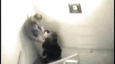 ინდური შეყვარებული, გიჟი მანქანა