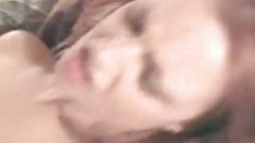 ჩემი ძუძუებიანი მელატის Taman