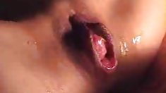 ცხელი ლათინოამერიკელი Abella Anderson