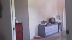 იკავებს სტილის