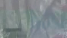 ნაღდი ანგარიშსწორება