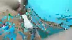 დიდი ძუძუები პენისი