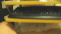 დედა და არა მისი ქალიშვილი კოცნა