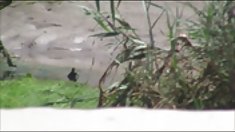 ავტომობილი, 11