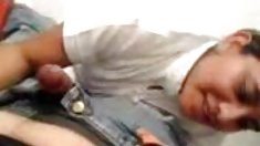 სექსაობა