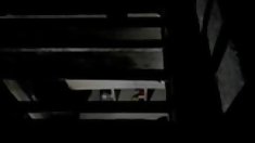 სიყვარულის, ვნების და - 1976