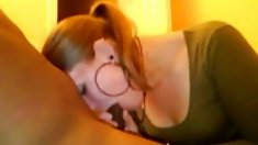 ჯაშუშობის მოყვარული, სამზარეულო, დიდი ტრაკი მაყურებელი