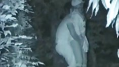 Mai მშვენიერი ქალბატონი