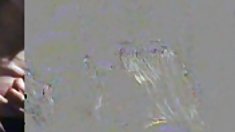 ცოლი ბოზი გამოიყენება მისი თეთრი ოსტატი