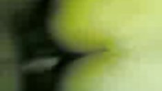 ლესბო პატარა კრებული