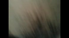 ფარული moxa იაპონელი შემთხვევაში 2