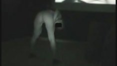 არაბი, pussy got