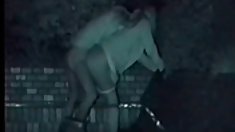 შავი ტორტი