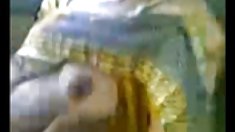 3 დიდი pounce იღბლიანი ბიჭი