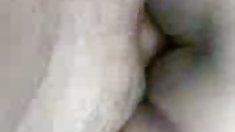 ნაკრები Asa Akira და გოგონები