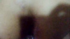 ცელქი კოლეგებს