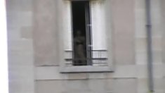 Madison ვარდების