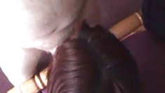 ჯეიდენ ჯეიმს ვებ კამერა