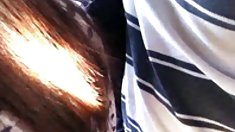 Liza del Sierra FLIC EN