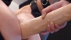 ქერა იღებს 2 შავი