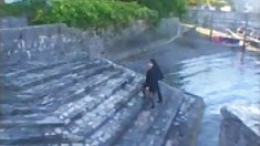 გაბრიელა ნაშა - მოყვარული,