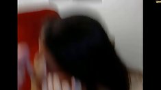 უცნაური კატა გოგონები