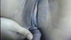 ველური ჯერ ponderosa beach club