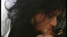 მიმართულება 17