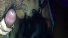 ორი ვირები joi