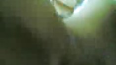 ინგლისელი ქარვა