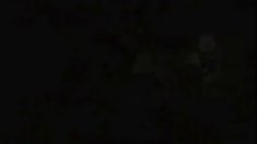 Fake სამი, დაპატიმრება ერთად დიდი Mae